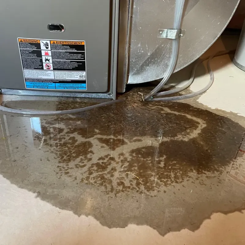 Appliance Leak Cleanup in Rutherford College, NC