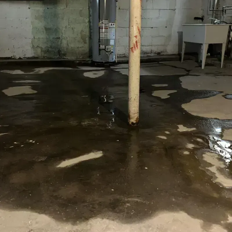 Emergency Water Extraction And Removal in Rutherford College, NC